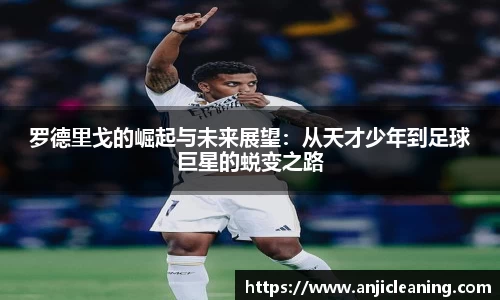 半岛bob·官方