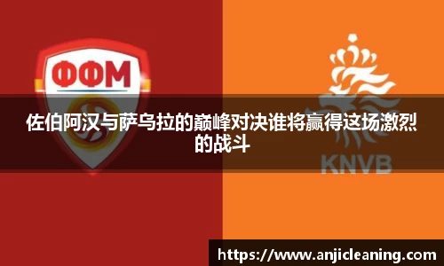 半岛bob·官方网站
