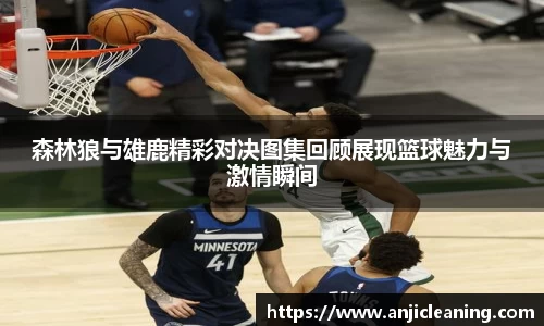 BoB半岛·体育中国官方网站