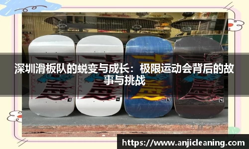 半岛bob·官方网站